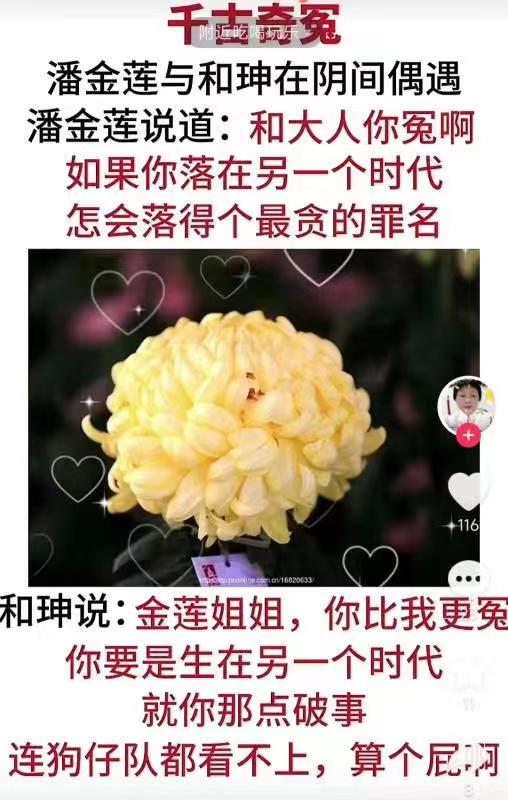 知情、自愿、同意 (2025/06/21)[17P]